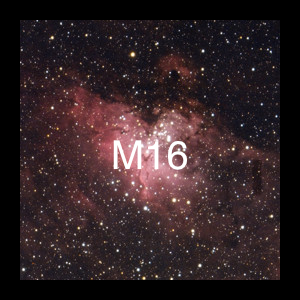 m16