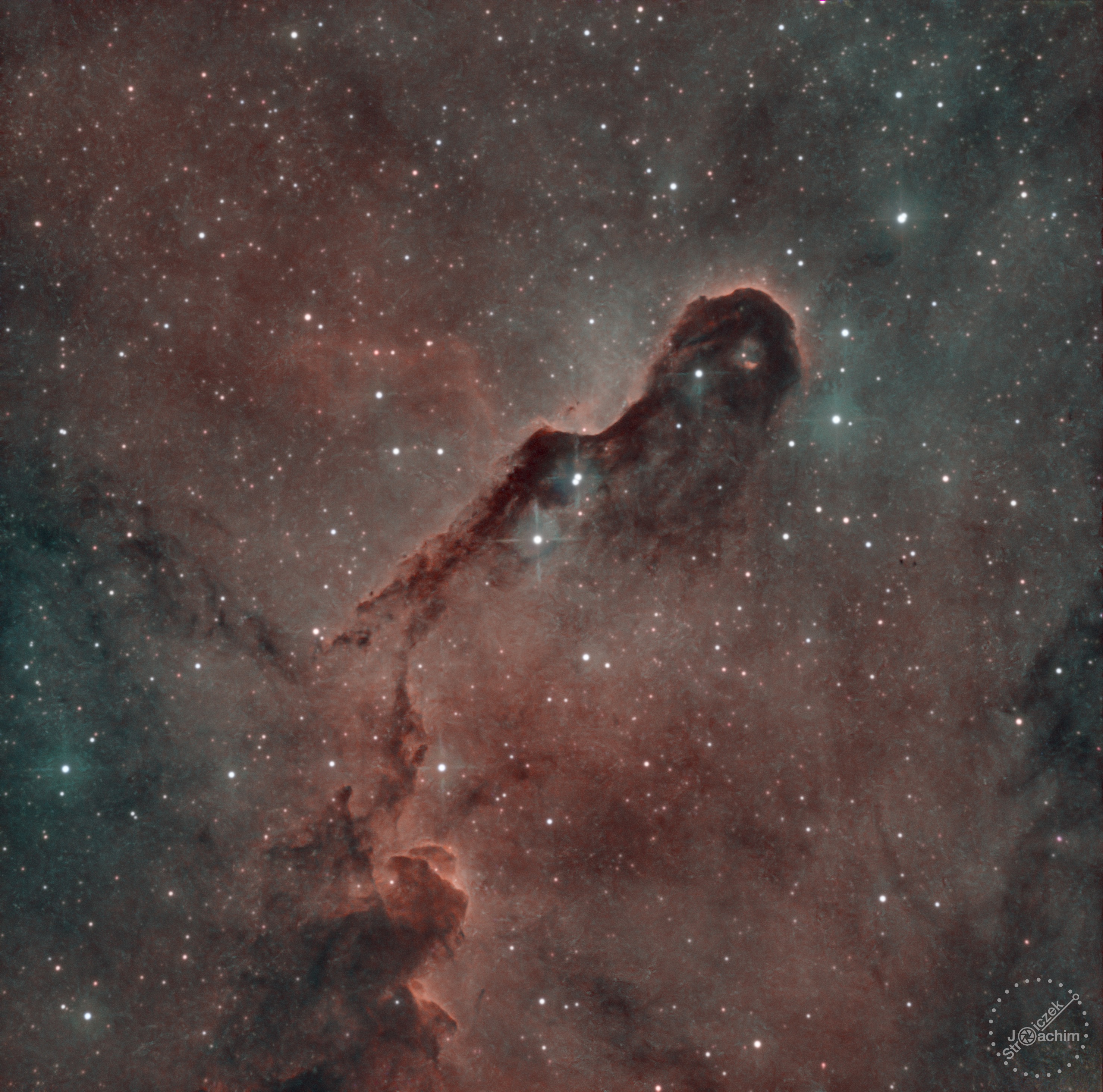 vdB 142 | 3-5.6.2023 | ASI533 | Celestron C8N |  110x300s (9 Std.)