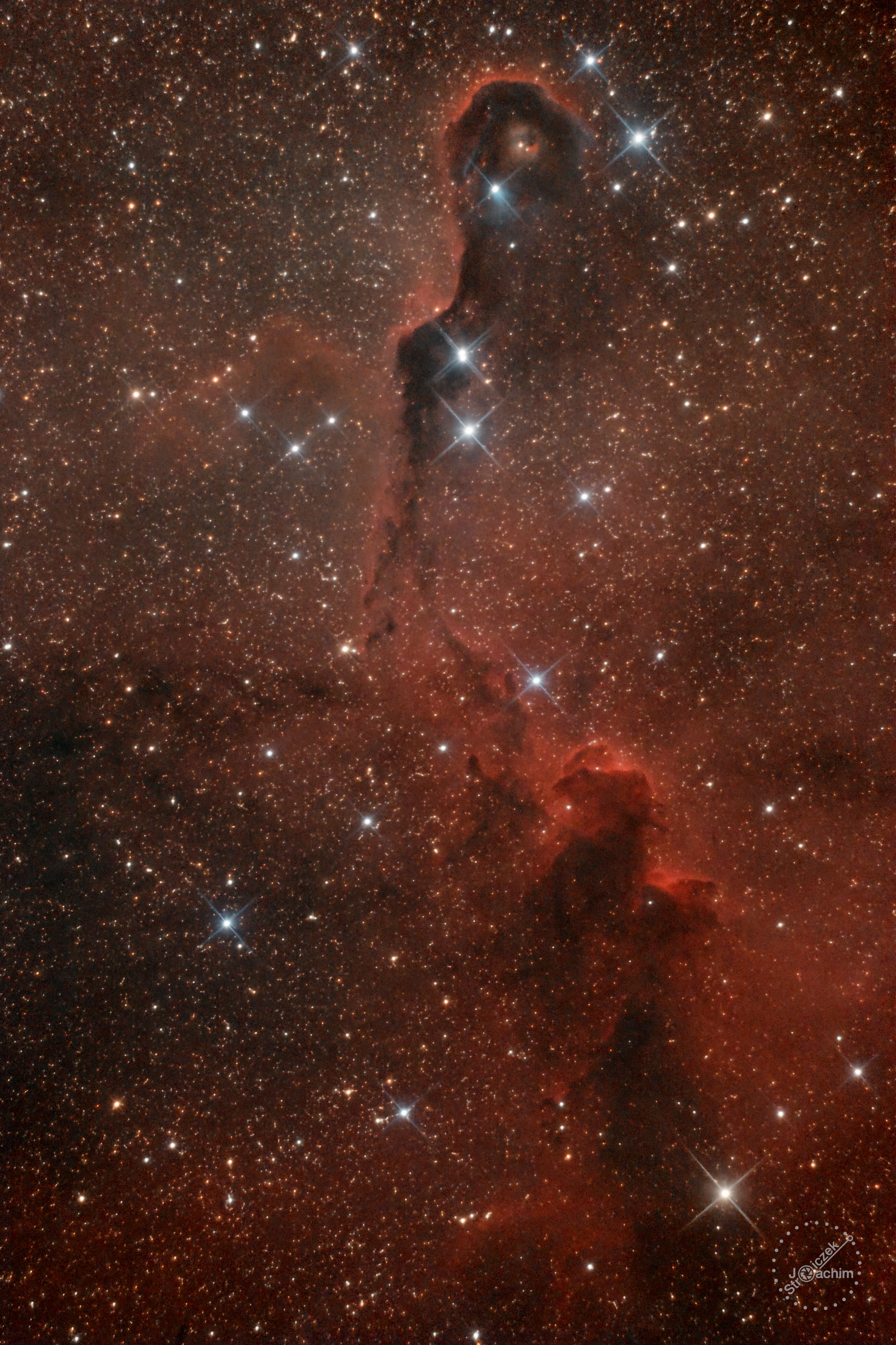 IC 1396 Elefantenr&uuml;ssel-Nebel | 14+20.8.2021 |ASI183 | Celestron C8N |  36x300s (RGB) + 22x300s (Ha/OIII) (4,8 Std.)