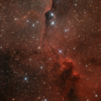 ic1396_20-08-2021_v3-sq.jpg