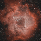 ngc2237_rosettennebel_10-01-2024_siril1.3-sq.jpg