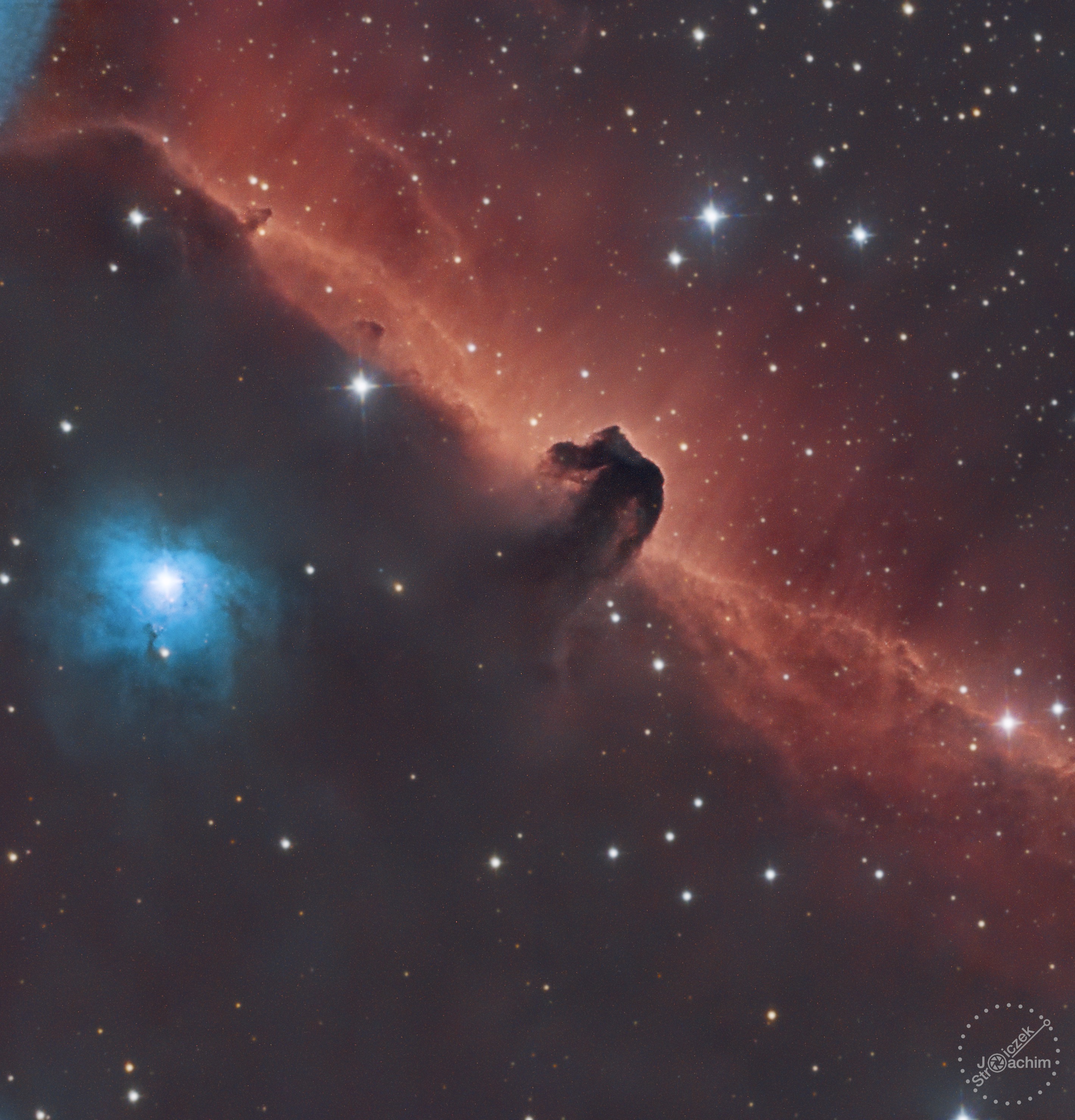 IC 434 Pferdekopfnebel | 10.1.2024 | ASI533 | Celestron C8N | 10x180 RGB 28x300 Dual-Narrow-Band (2,8 Std.)