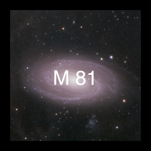 m81