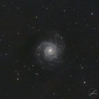 m74_21-11-2021-sq.jpg
