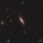 m82_27-05-2023_v3-sq.jpg