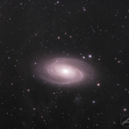 m81_27-03-2025_v3-sq.jpg