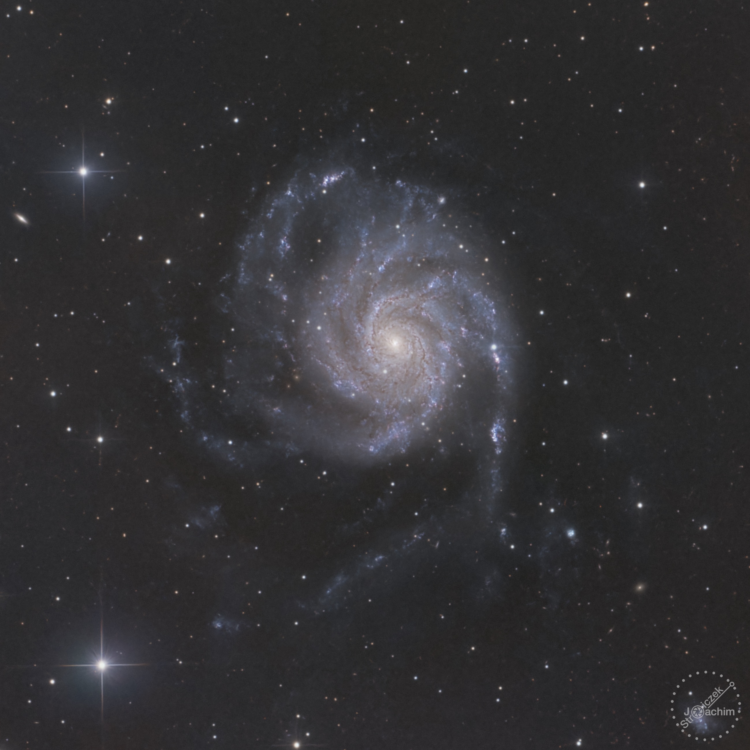 M 101+ SN2023ixf | 23.5.2023 | ASI533 | Celestron C8N |  67x180s (3 Std.)