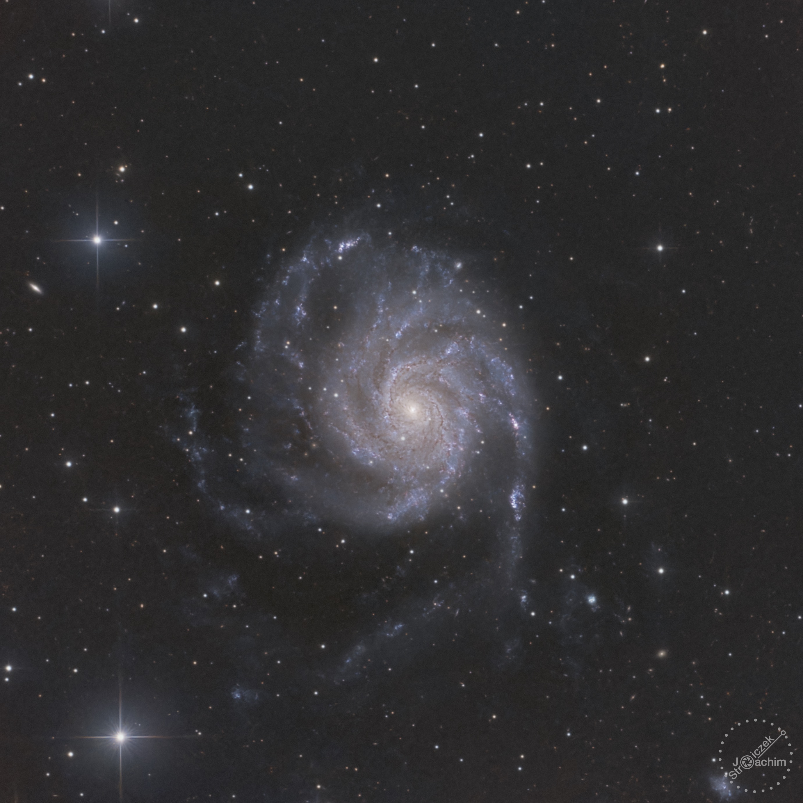 M 101 | 17.5.2023 | ASI533 | Celestron C8N |  49x180s (2 Std.)