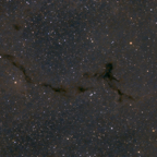 barnard_150_03-09-2022-sq.jpg