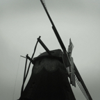 Mühle Freilichtmueum Detmold.jpg